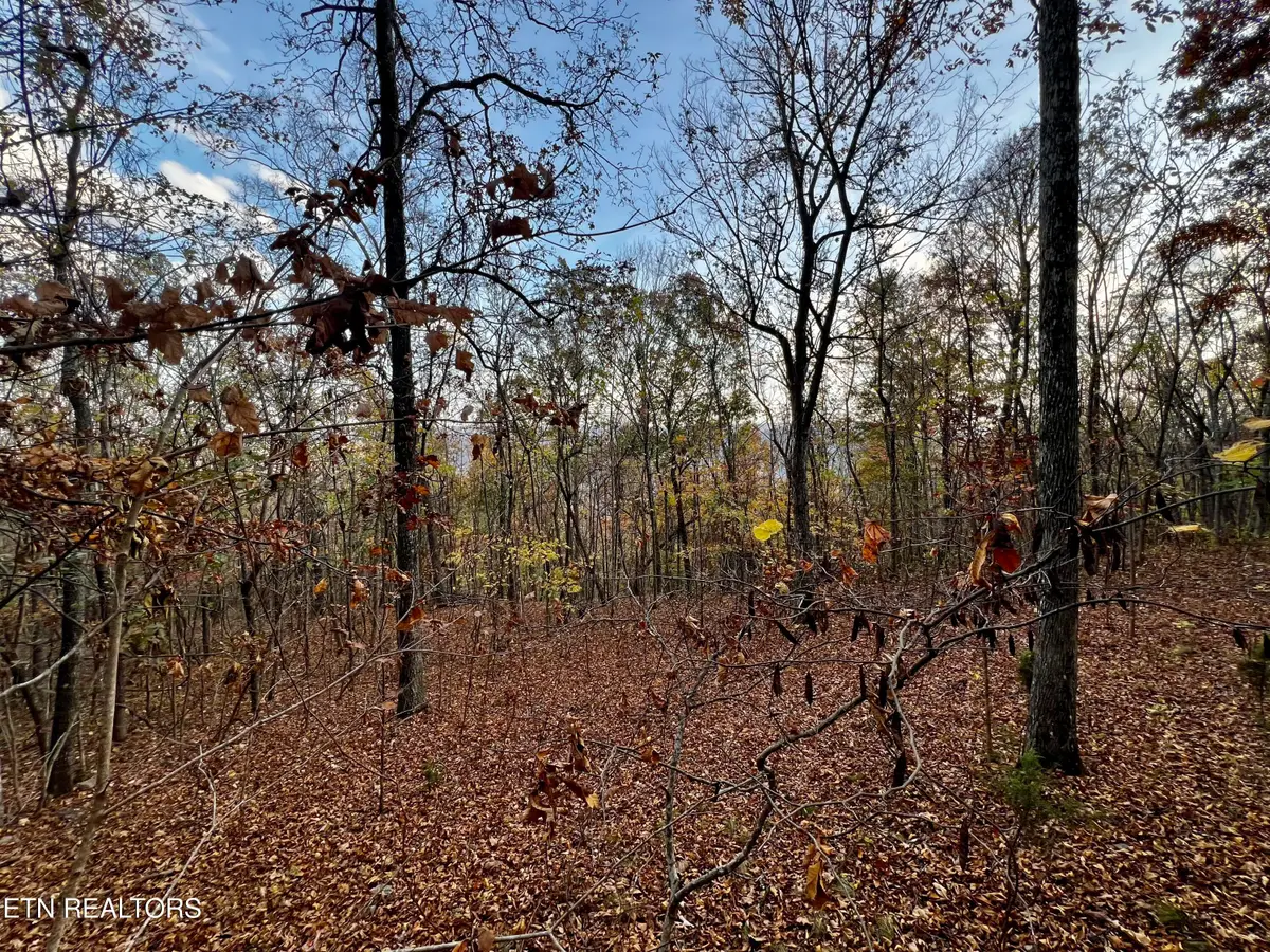 Lot 675 Chimney Rock Road, New Tazewell, TN 37825 - #1