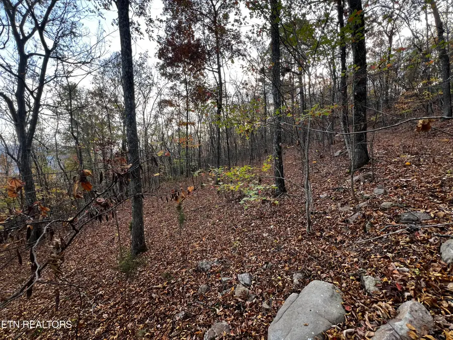 Lot 675 Chimney Rock Road, New Tazewell, TN 37825 - #3