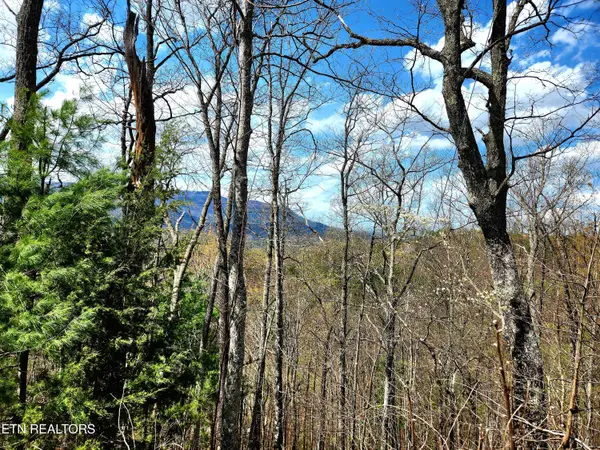 Windmere Way Lot Po49, Sevierville, TN 37862