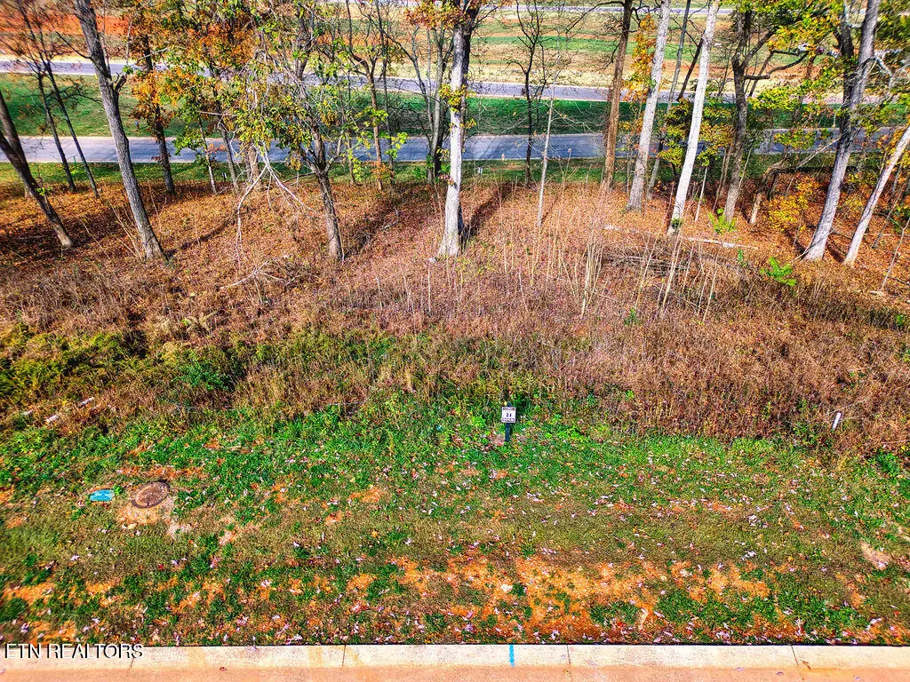 1673 Black Cove Lane, Loudon, TN 37774 - #1