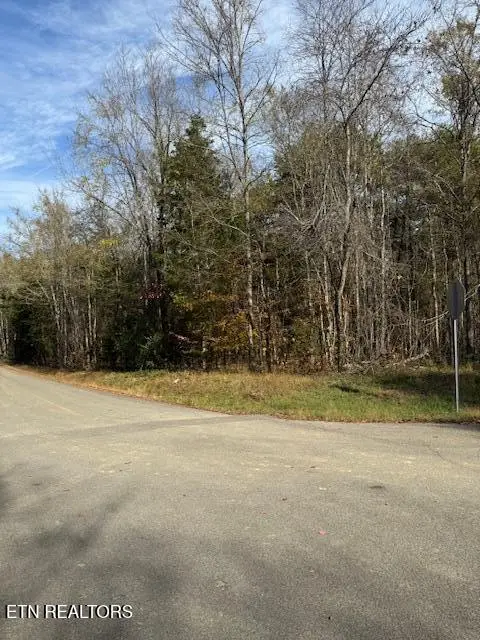 Lot 1023 Cove Lane, Baneberry, TN 37890 - #2