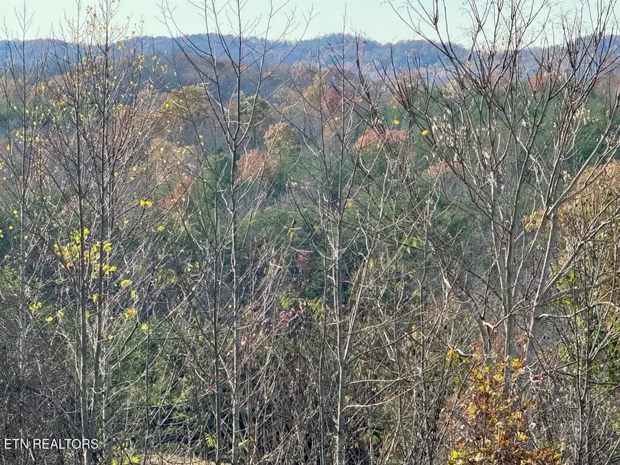 Tract 1 Three Point Rd, Vonore, TN 37885 - #2