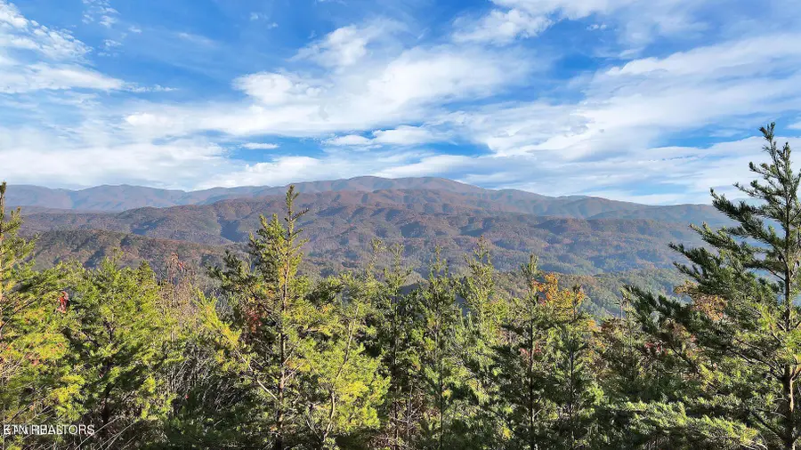 Tract 29R3 Chilhowee Mountain Tr, Maryville, TN 37803 - #3