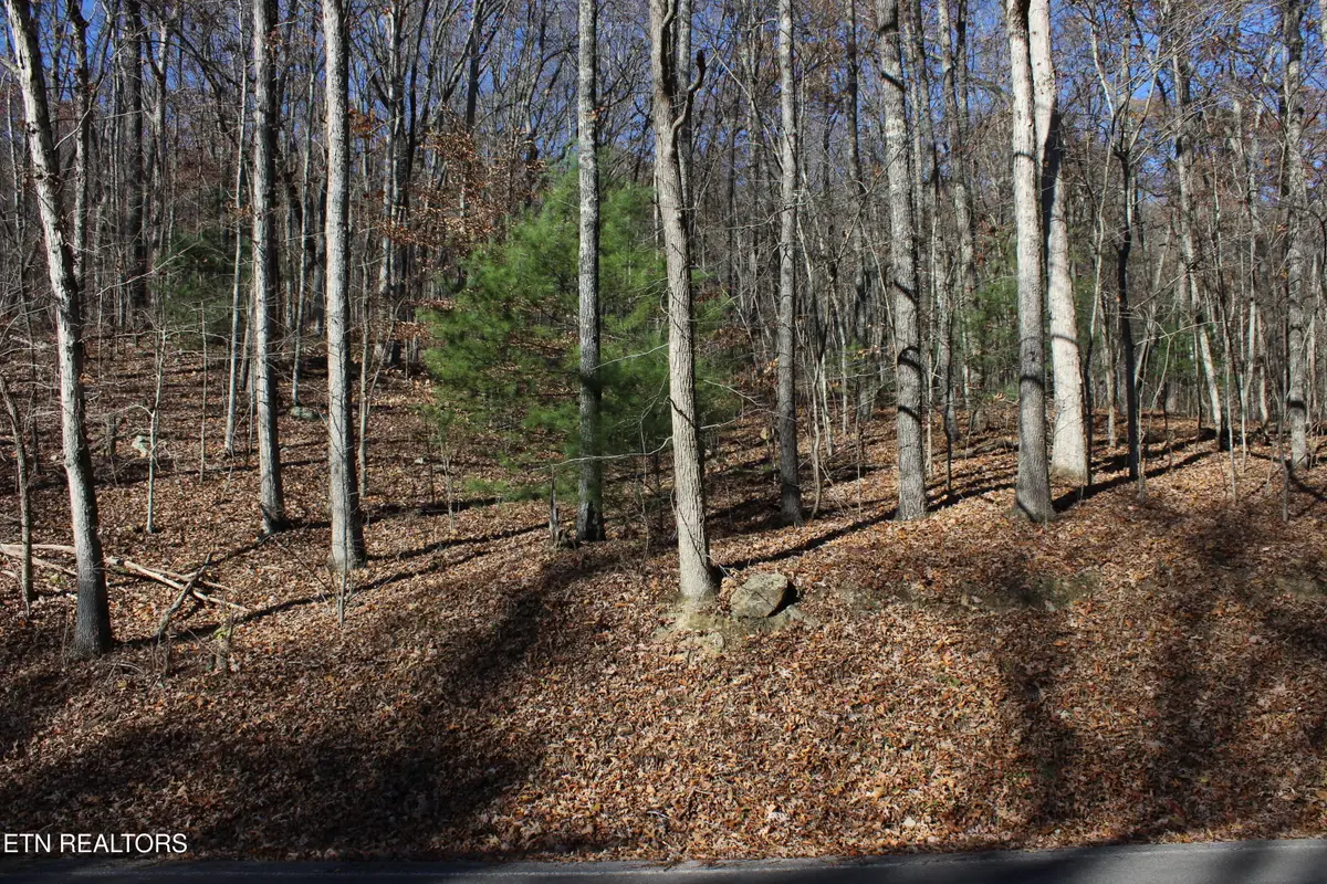 Scenic Dr, Lot 21, Harriman, TN 37748 - #1