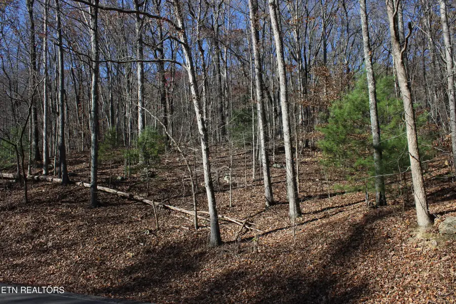 Scenic Dr, Lot 21, Harriman, TN 37748 - #3