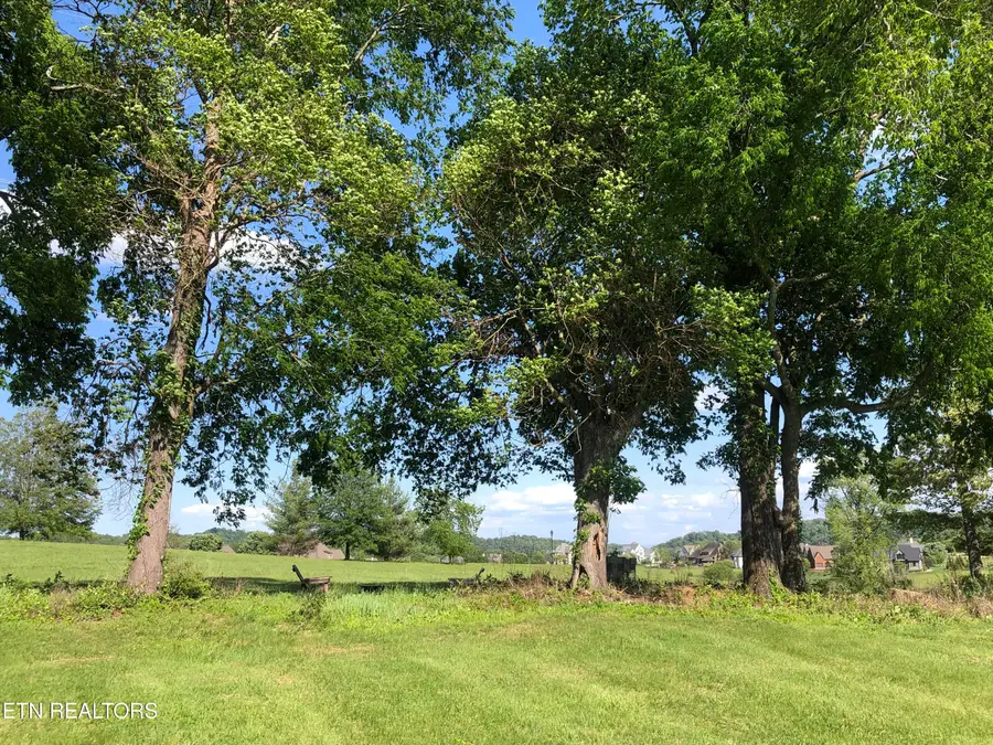 3636 Edgewater Way, Louisville, TN 37777 - #2