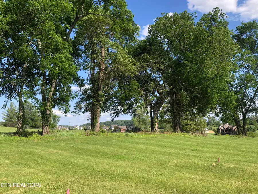 3636 Edgewater Way, Louisville, TN 37777 - #3