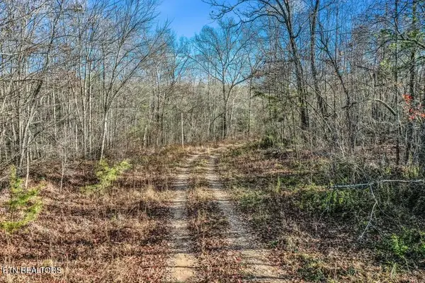 Nashville Ave, Deer Lodge, TN 37726