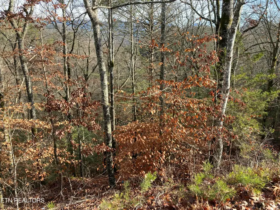 Lot 51 Red Cedar Ln, Sevierville, TN 37876 - #2