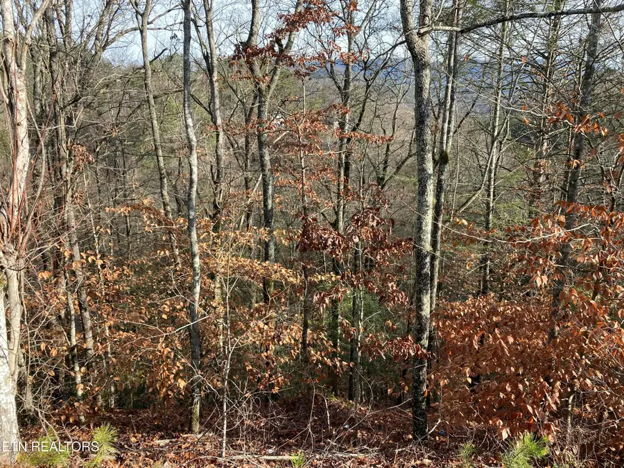 Lot 51 Red Cedar Ln, Sevierville, TN 37876 - #3