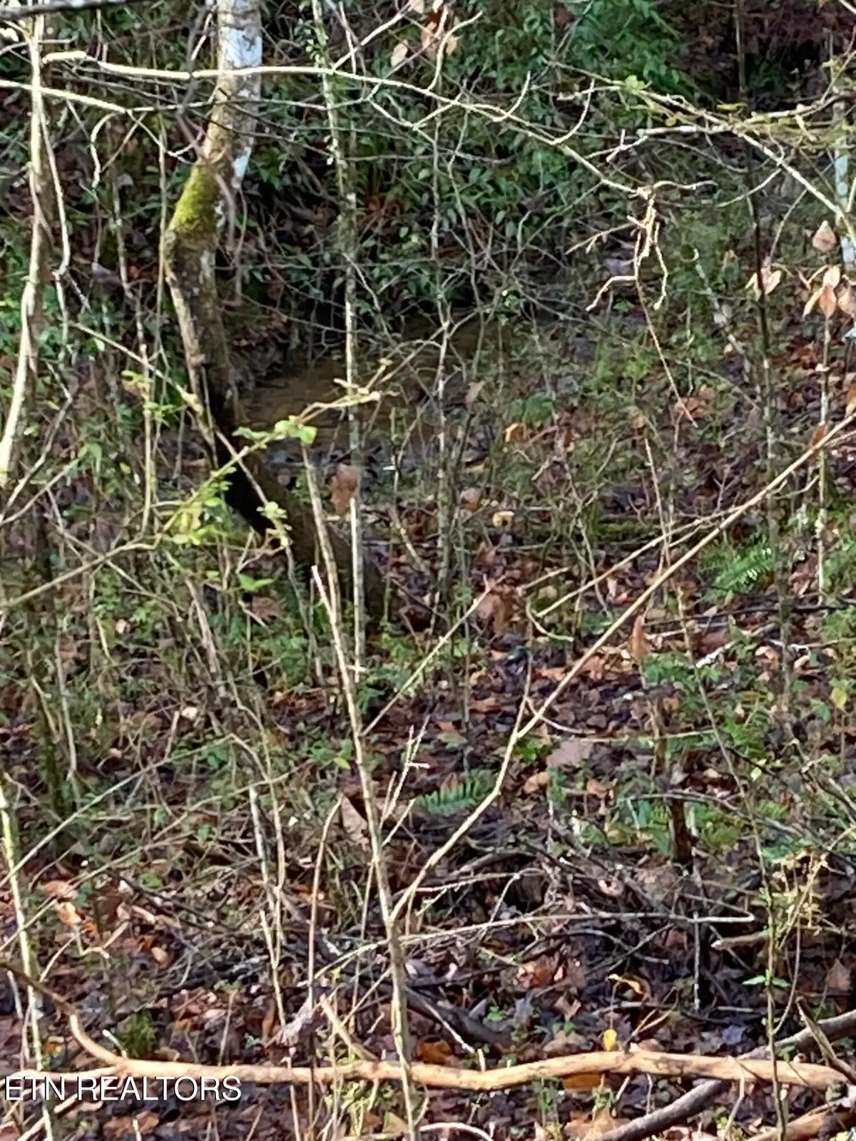 Lot 53A Fiesta Blvd, Sevierville, TN 37876 - #1