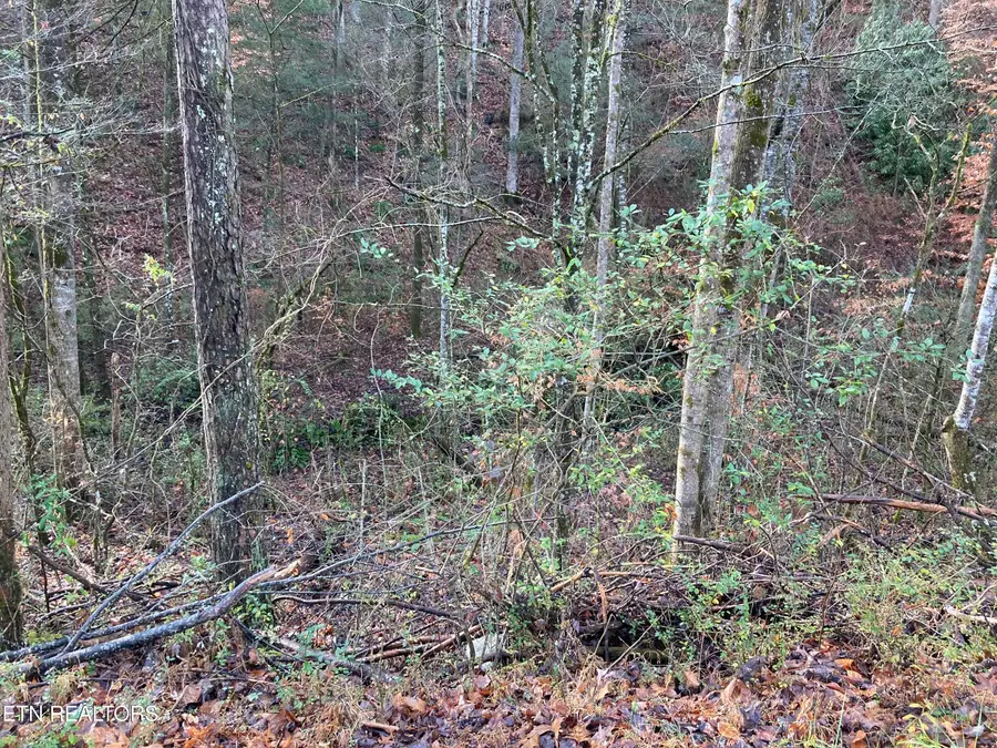 Lot 53A Fiesta Blvd, Sevierville, TN 37876 - #2