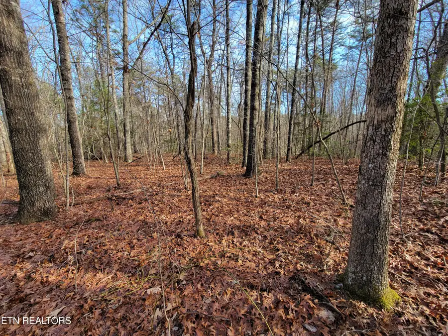 30 Laurel Loop, Monterey, TN 38574 - #3