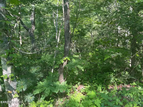 Lot 89 Sycamore St, Sevierville, TN 37876