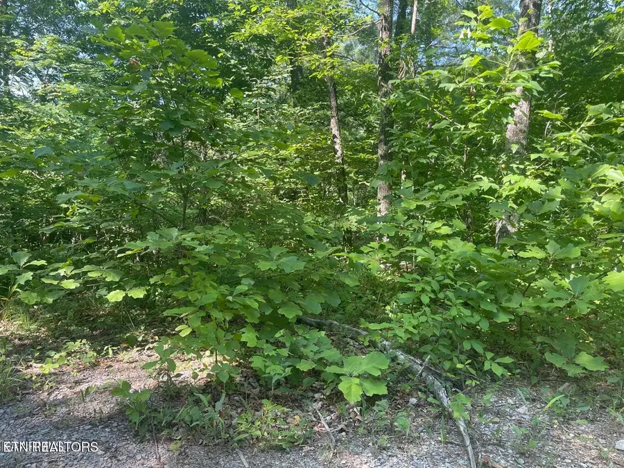Lot 68 Sycamore St, Sevierville, TN 37876 - #2