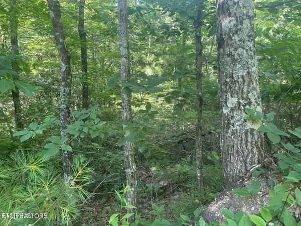 Lot 71 Hazelnut Lane, Sevierville, TN 37876
