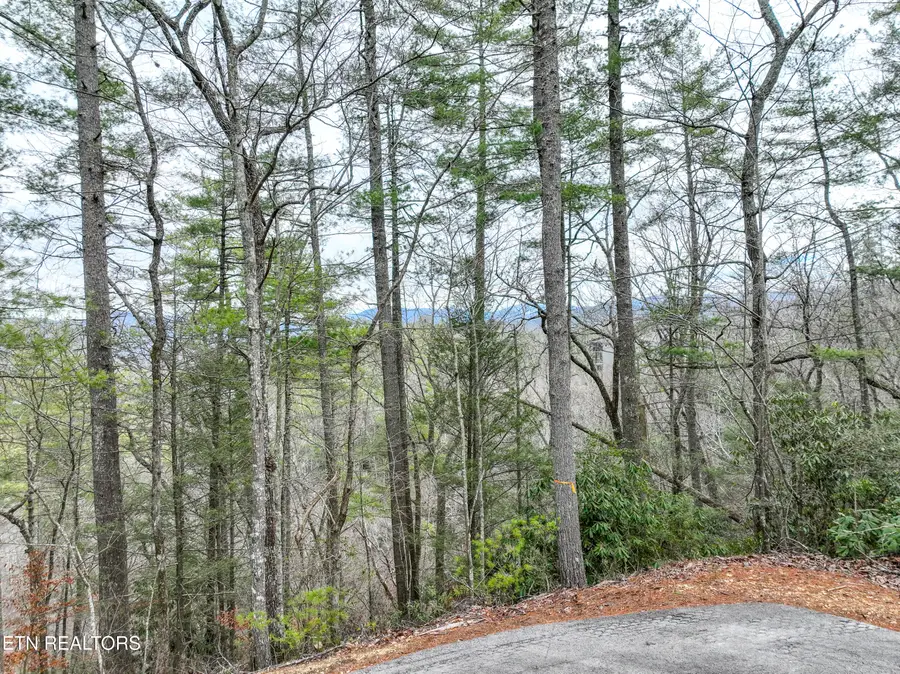 Lot 20 Slate Quarry Point, Townsend, TN 37882 - #2