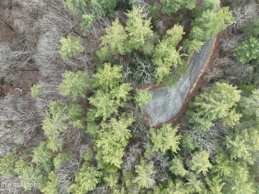 Lot 20 Slate Quarry Point, Townsend, TN 37882 - #3