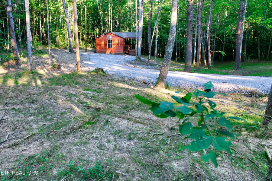 137 John Cox Rd, Deer Lodge, TN 37726 - #3