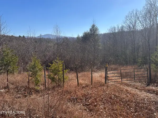 162.45ac Mill Creek Rd, Sunbright, TN 37872