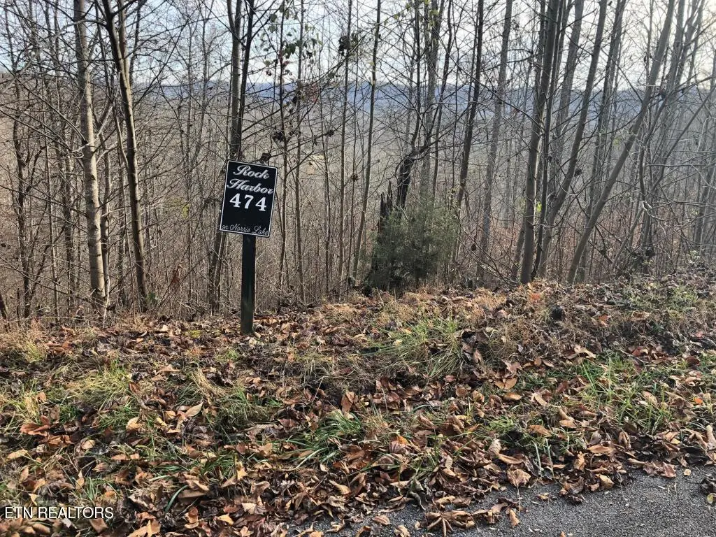 Silver Tr #Lot 474, New Tazewell, TN 37825 - #1