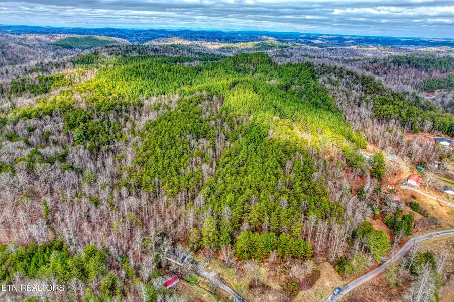 Boiling Springs Rd, Vonore, TN 37885 - #3