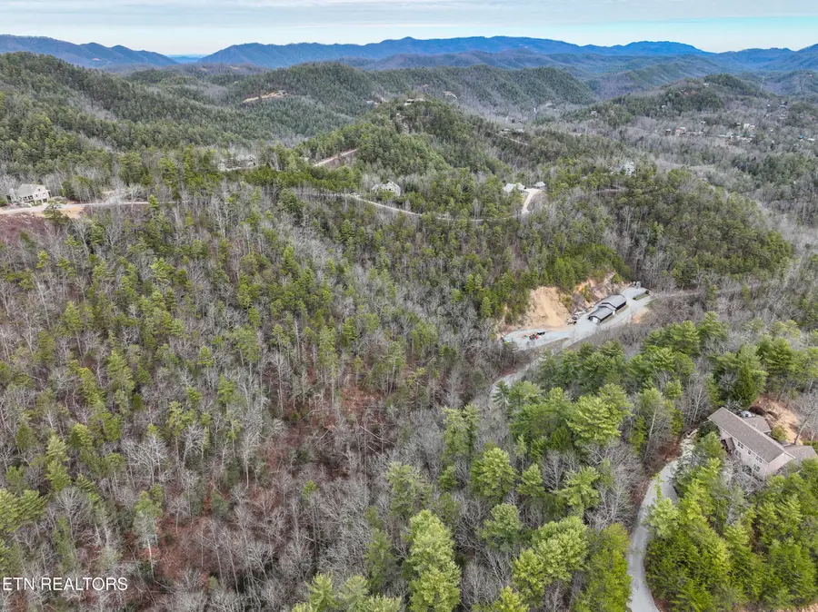 651 Hawk View Drive, Townsend, TN 37882 - #3