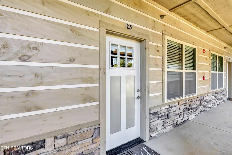 235 Bishops Cap Circle #103, Townsend, TN 37882 - #2