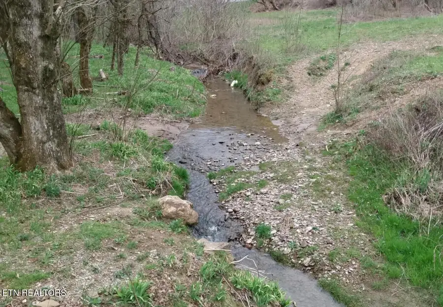 600 Flowers Gap Rd, Blackwater, VA 24221 - #3