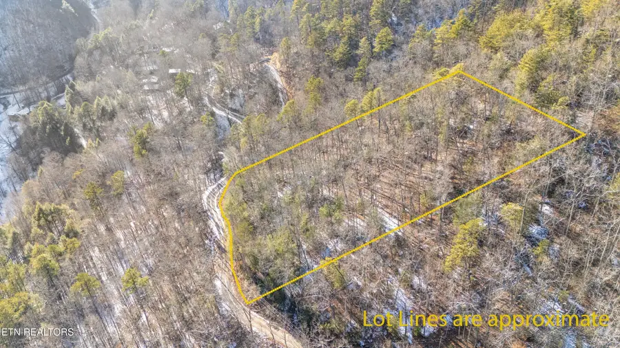 Lumber Jack Way, Sevierville, TN 37876 - #2
