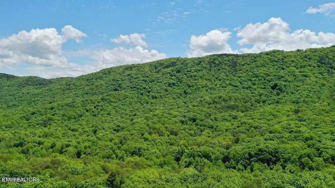 604 Solomon Seal Way, Maryville, TN 37803 - #1