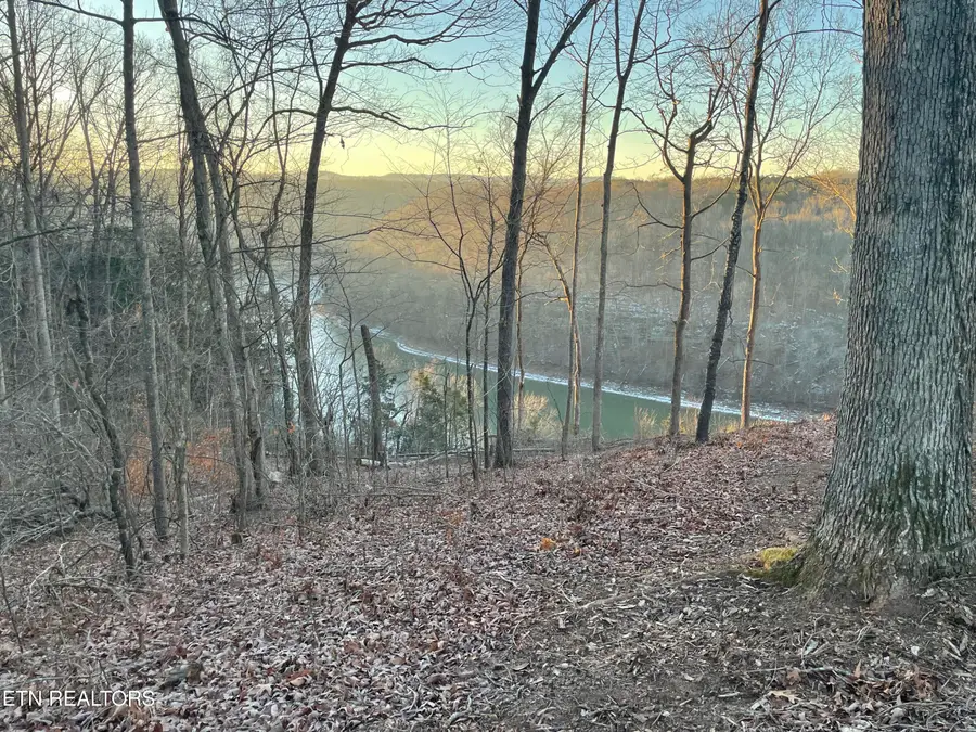 2.28 Acres Pates Ford Rd, Walling, TN 38587 - #3