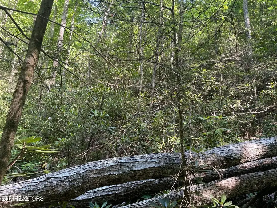 Lot 6 Sycamore St, Sevierville, TN 37876 - #3