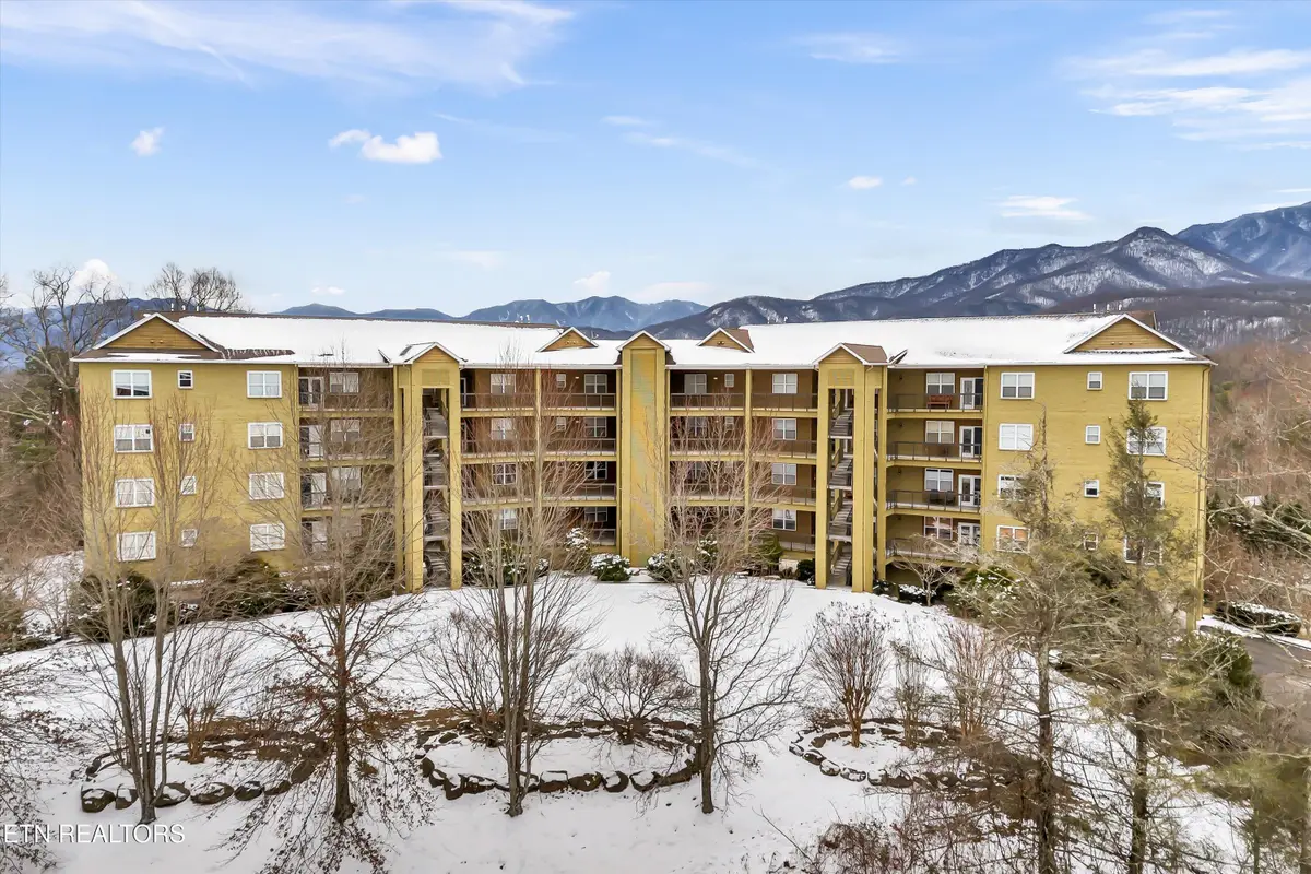 338 Pinnacle View Way #132, Gatlinburg, TN 37738 - #1