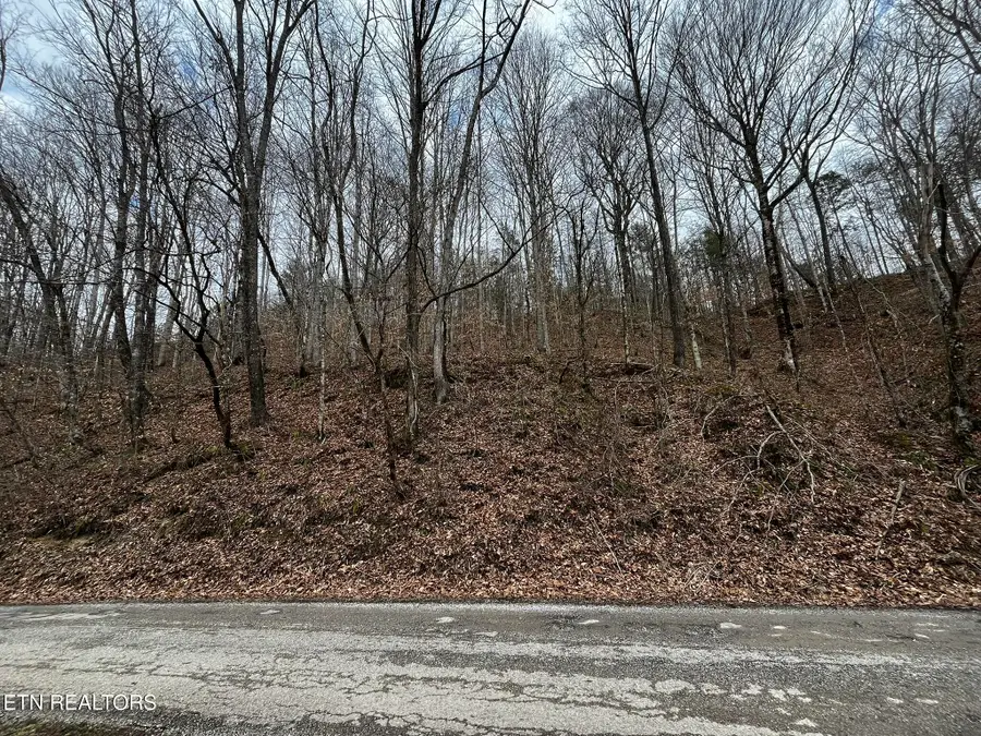 0 Paint Rock Creek, Oneida, TN 37841 - #2