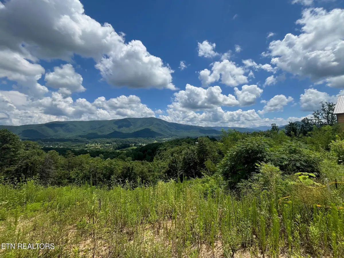 2861 Indigo Lane, Sevierville, TN 37862 - #1