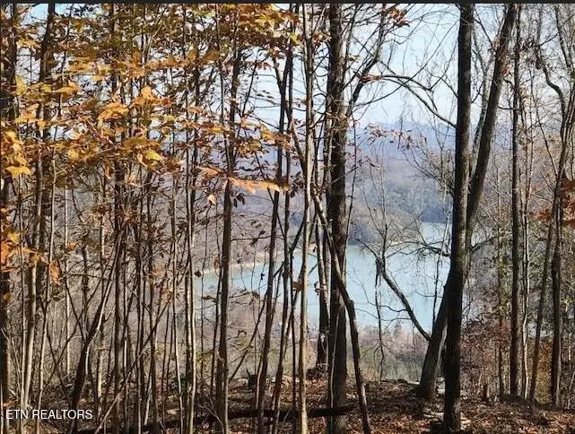 Lot 122 Settlers Point, New Tazewell, TN 37825 - #2