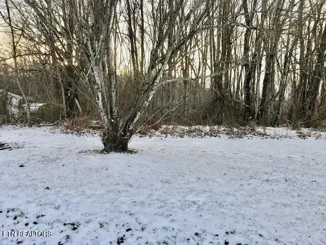 069 145.00 Letner Rd, Helenwood, TN 37755 - #1