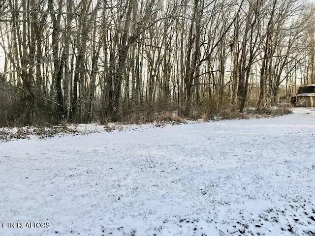 069 145.00 Letner Rd, Helenwood, TN 37755 - #2