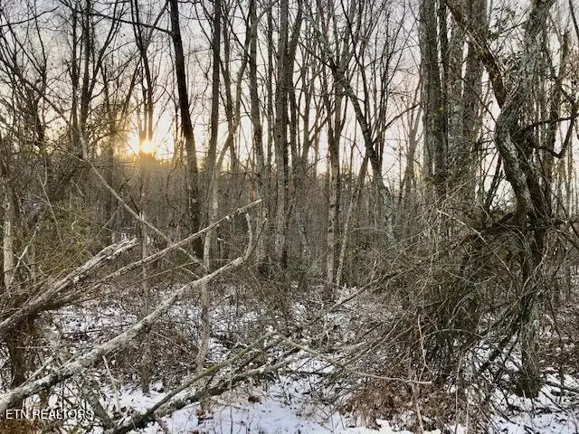 069 145.00 Letner Rd, Helenwood, TN 37755 - #3