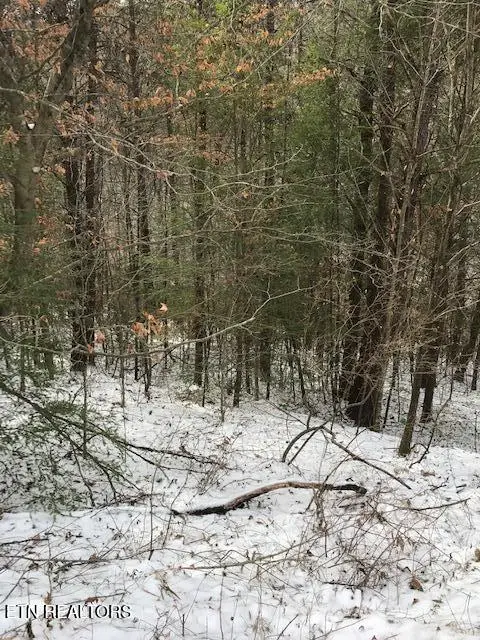 080 013.00 Buffalo Rd, Oneida, TN 37841 - #2