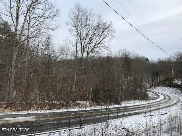 080 015.00 Buffalo Rd, Oneida, TN 37841 - #2