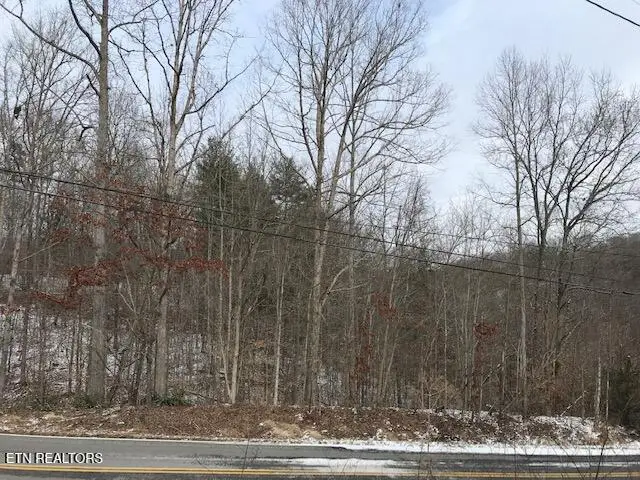 080 015.00 Buffalo Rd, Oneida, TN 37841 - #3