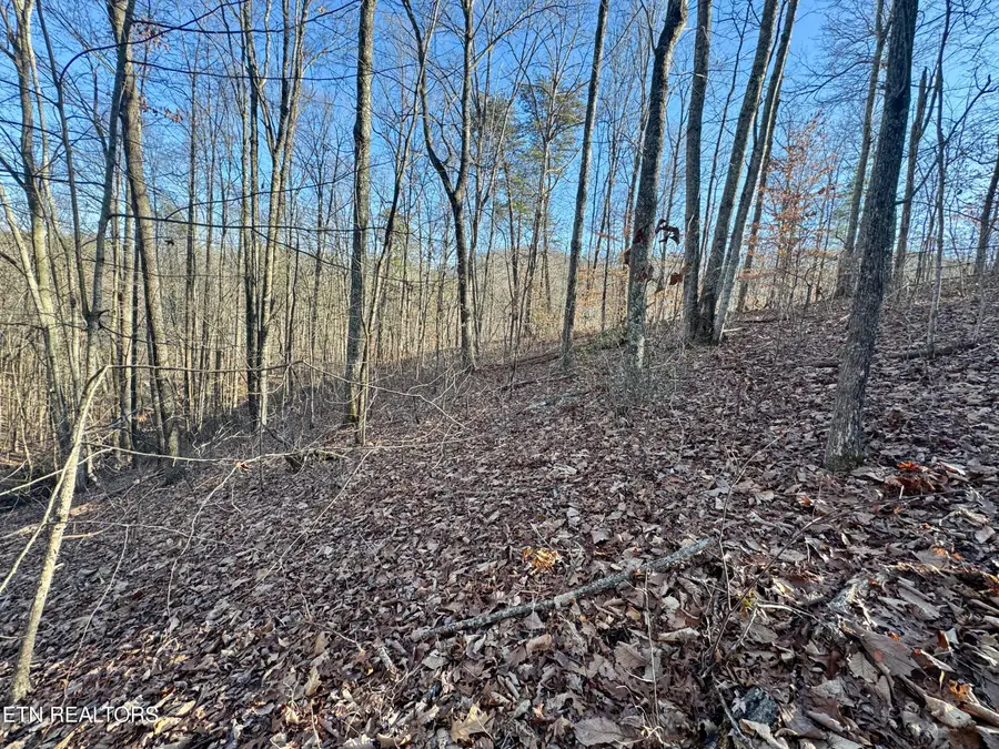 Gibson Hollow. 2.33 Acres Rd, Sevierville, TN 37876 - #2