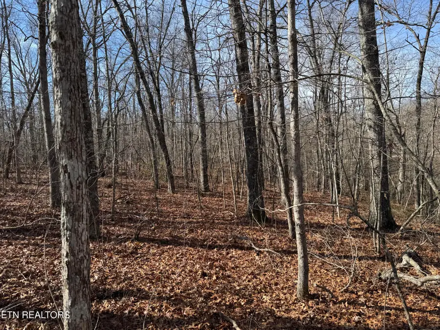 Lot 37 Crystal Point, Monterey, TN 38574 - #2