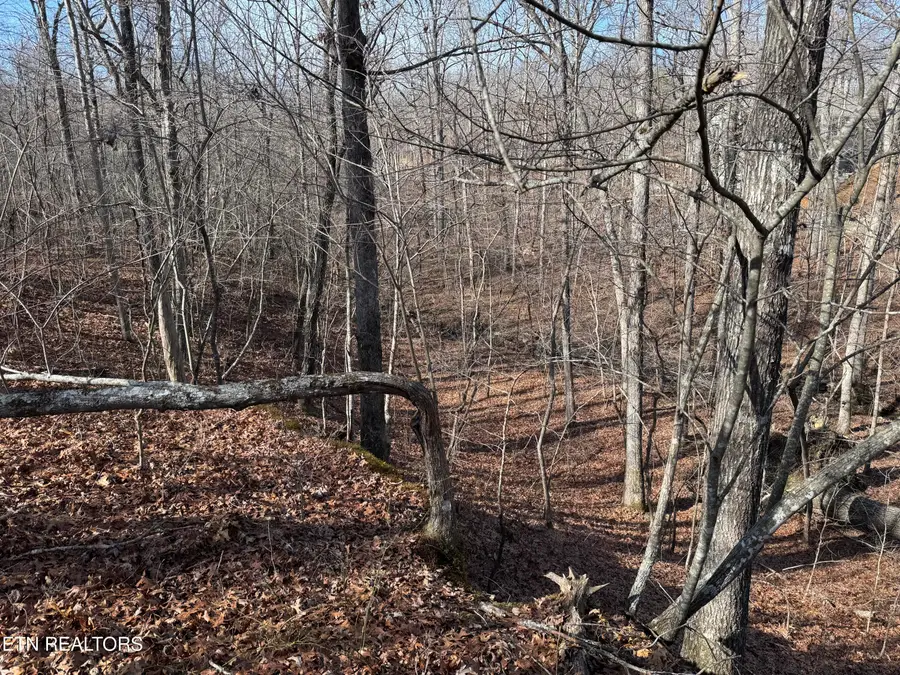 Lot 38 Crystal Point, Monterey, TN 38574 - #2