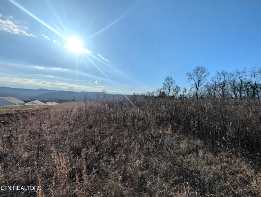 0 Buttermilk Rd, Knoxville, TN 37932 - #3