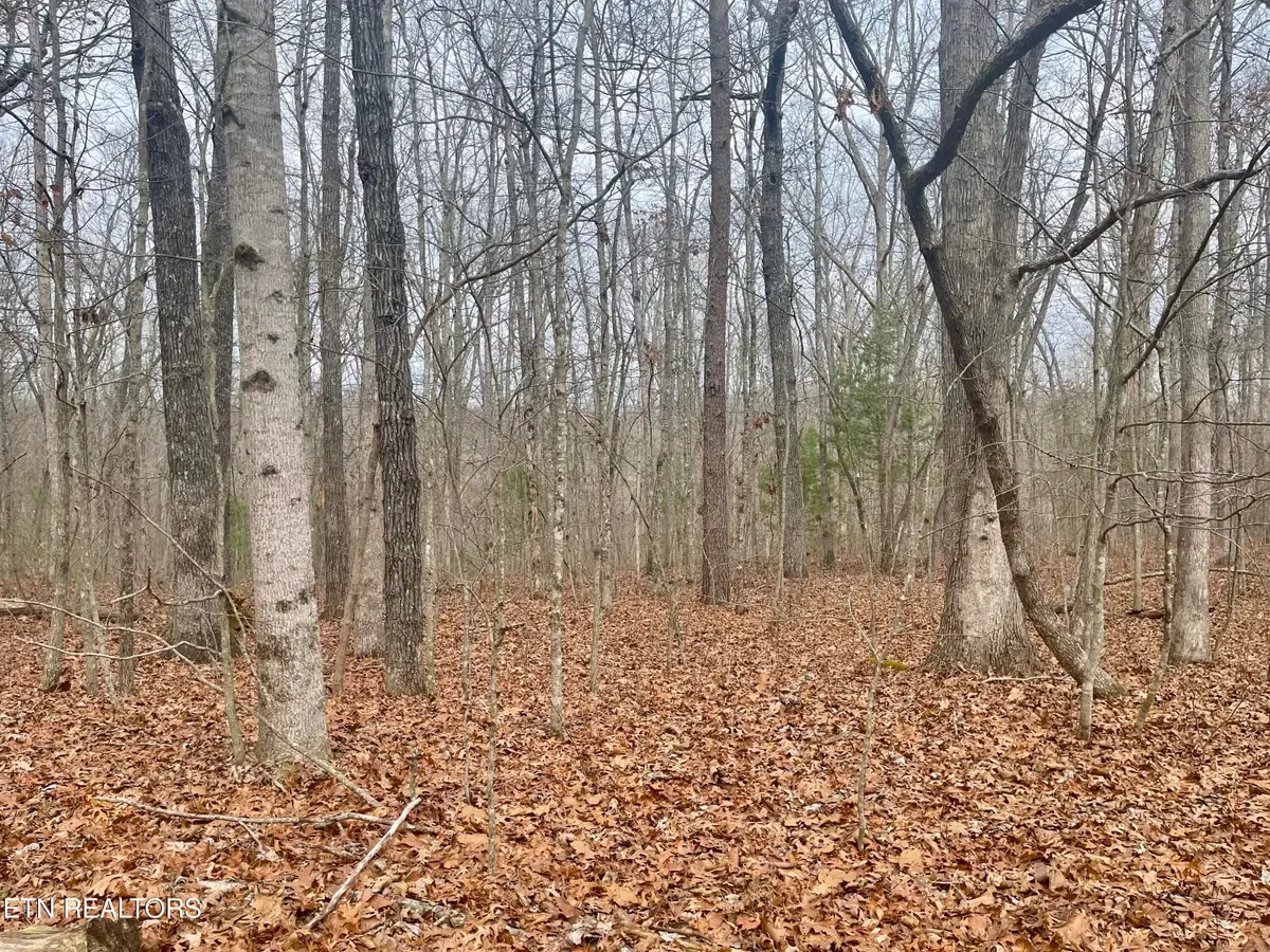 33 Leeds Terrace, Crossville, TN 38558 - #1