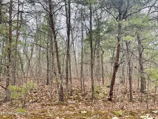 327 Bainbridge Rd, Crossville, TN 38558