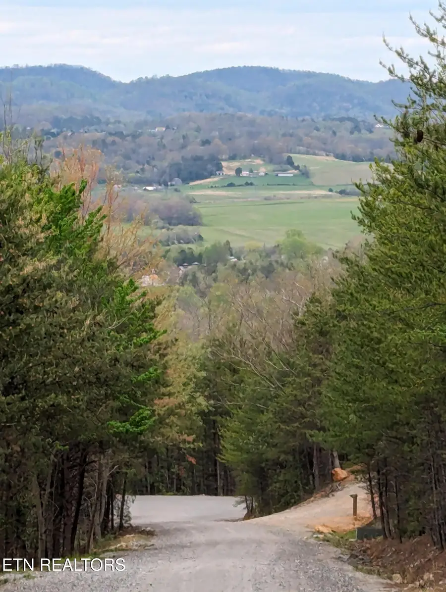 125 Indian Ridge Drive, Tellico Plains, TN 37385 - #2